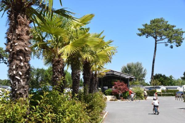 Mobil Home Xxl - Bord Lac - Camping Les Viviers - Lege Cap Ferret מראה חיצוני תמונה